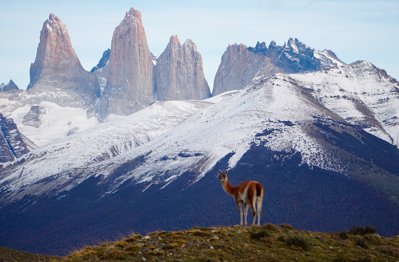 Torres Del Paine National Park torres-del-paine-national-park